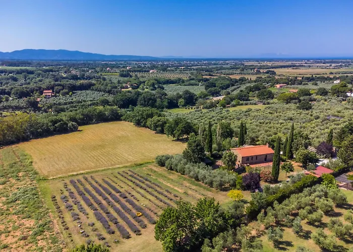 Libeccio By Interhome Apartment Bibbona